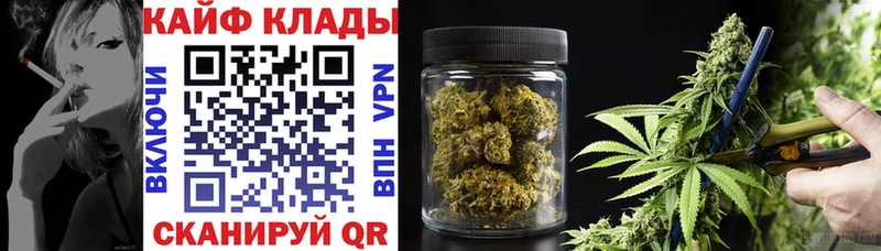 Виды наркотиков купить Чапаевск Конопля  COCAIN  Гашиш  Меф 