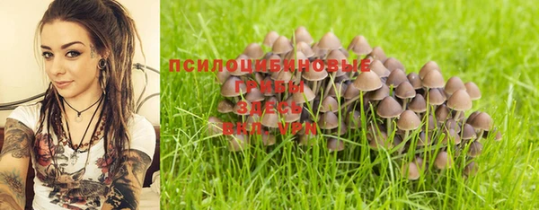 гидропоника Куйбышев