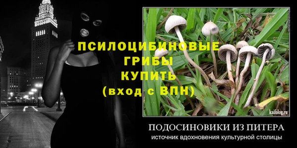 гидропоника Куйбышев
