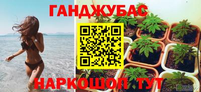 хмурый Краснодар