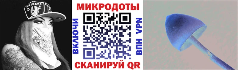 Псилоцибиновые грибы ЛСД ОМГ ОМГ вход Чапаевск продажа наркотиков