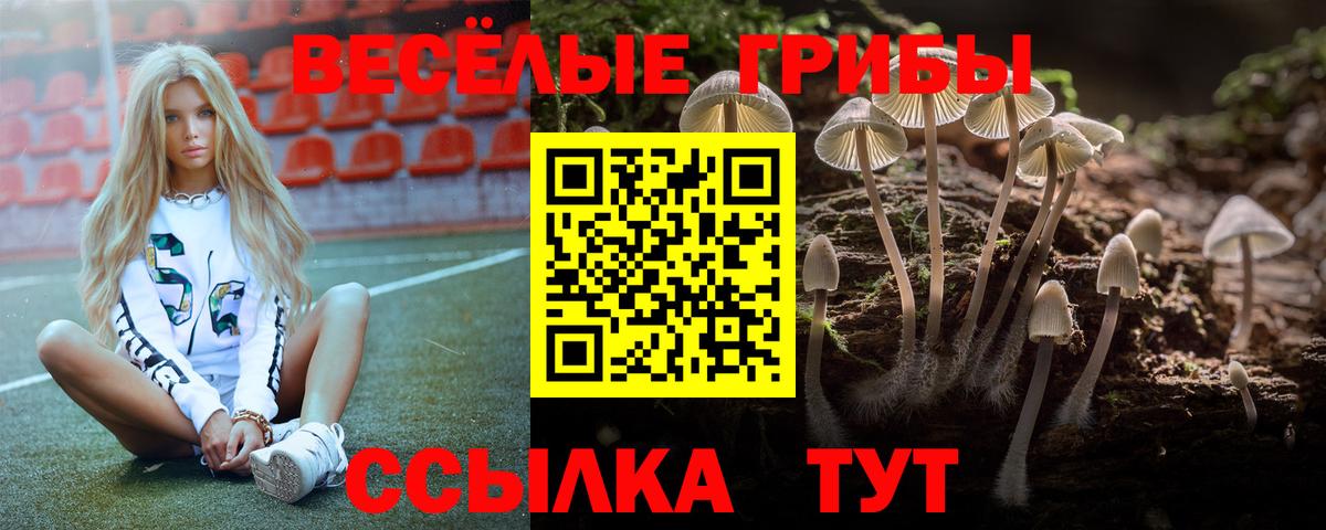 Чапаевск  Галлюциногенные грибы Psilocybe  Вход с VPN 