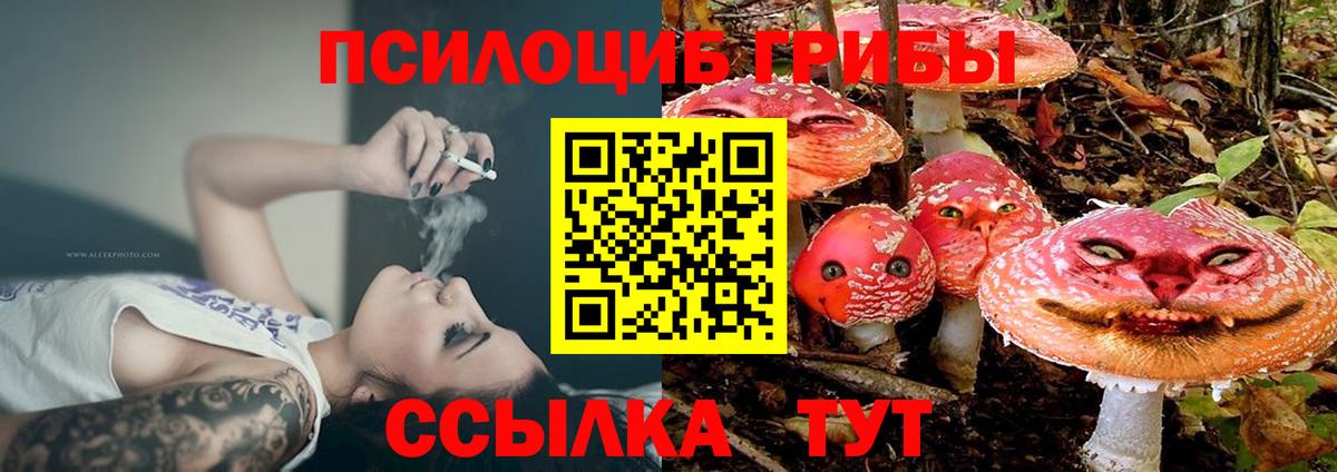 Галлюциногенные грибы прущие грибы Чапаевск