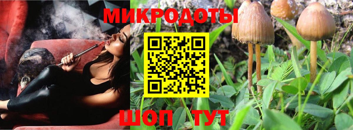 Псилоцибиновые грибы прущие грибы  купить закладку  Псилоцибиновые грибы MAGIC MUSHROOMS  Чапаевск 